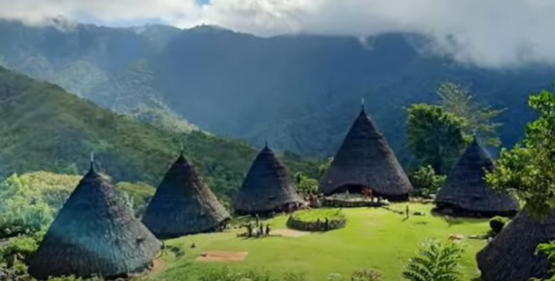 Daftar Bisnis PT.BEST diNTT Nusa Tenggara Timur
